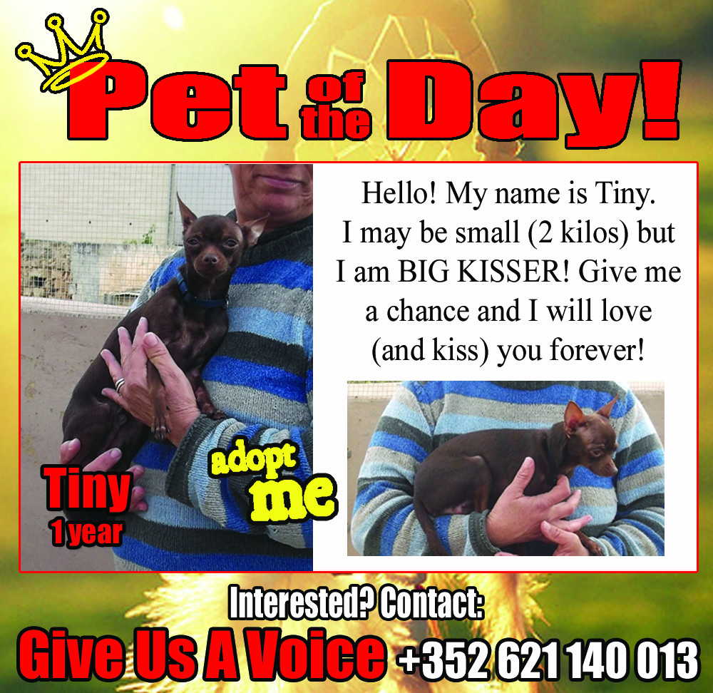 01-25-16 Pet of the Day