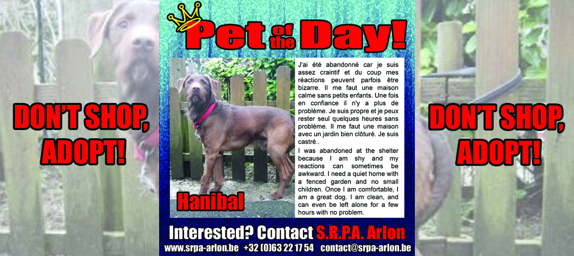 04-23-15 Pet of the Day for website