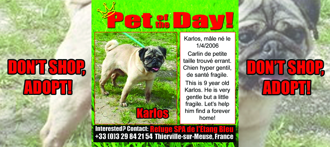 04-29-15 Pet of the Day for website