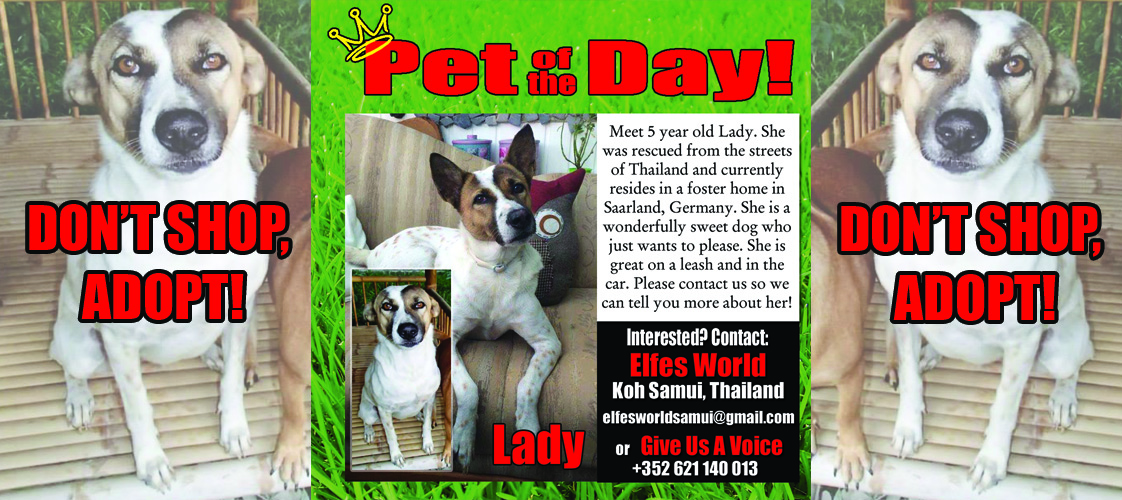 05-05-15 Pet of the Day for website