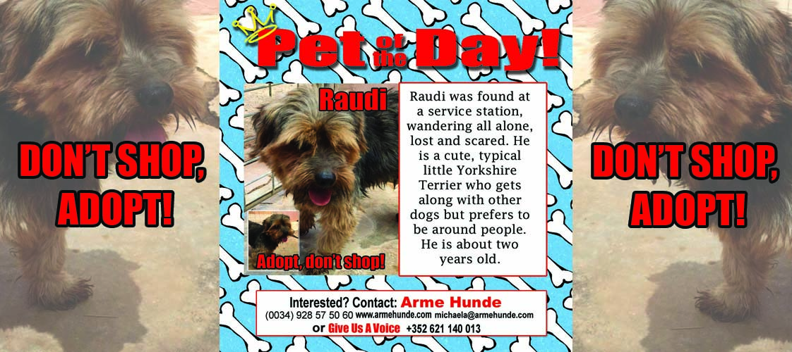 05-22-15 Pet of the Day for website