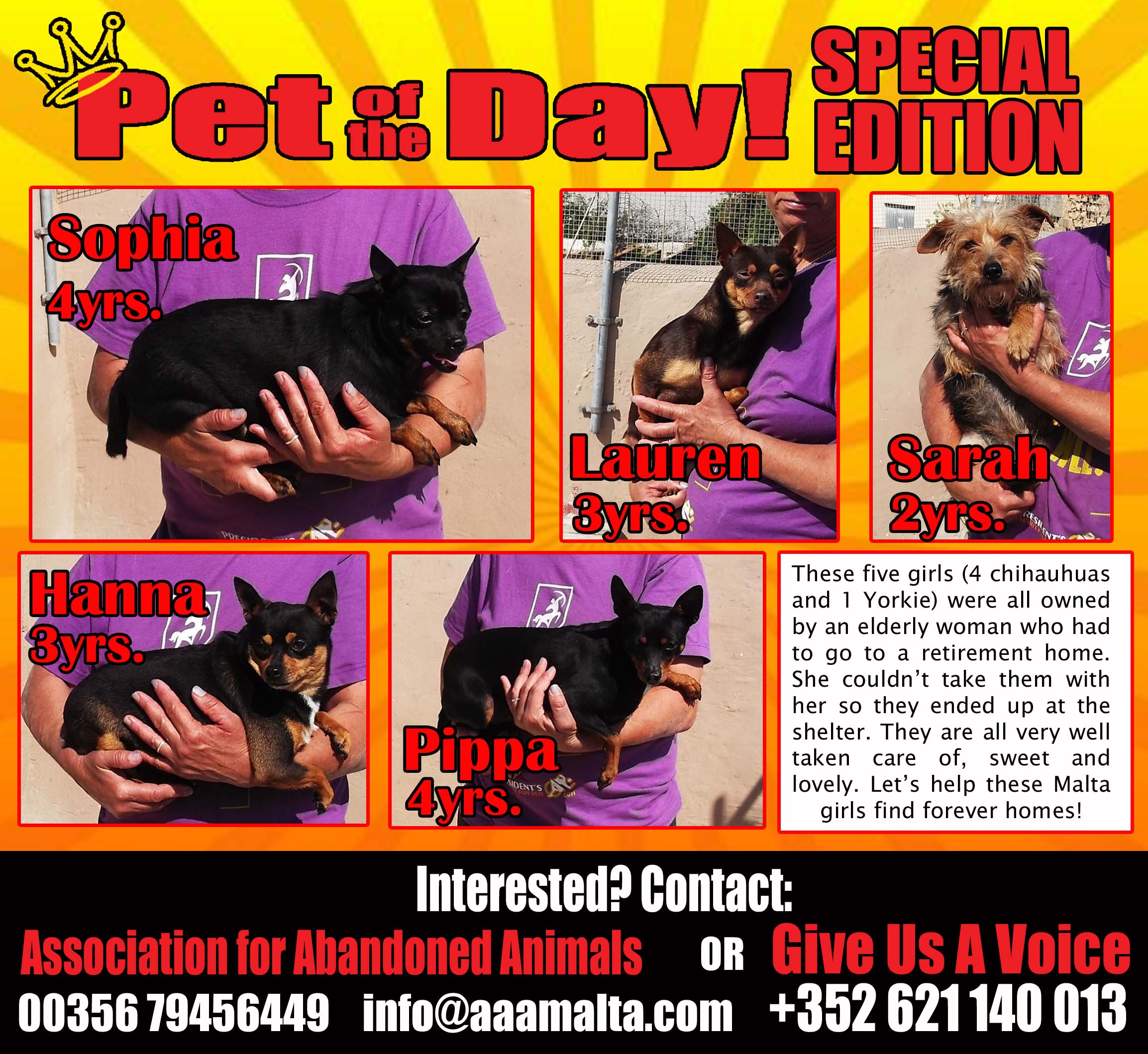 05-26-15 Pet of the Day