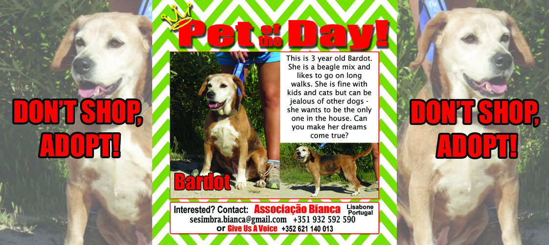 07-02-15 Pet of the Day for website