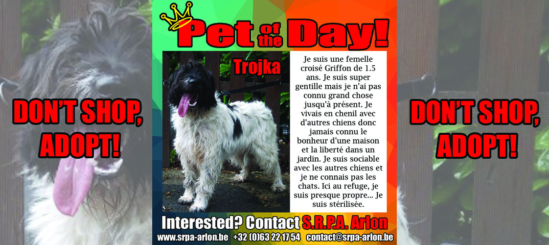 07-07-15 Pet of the Day for website