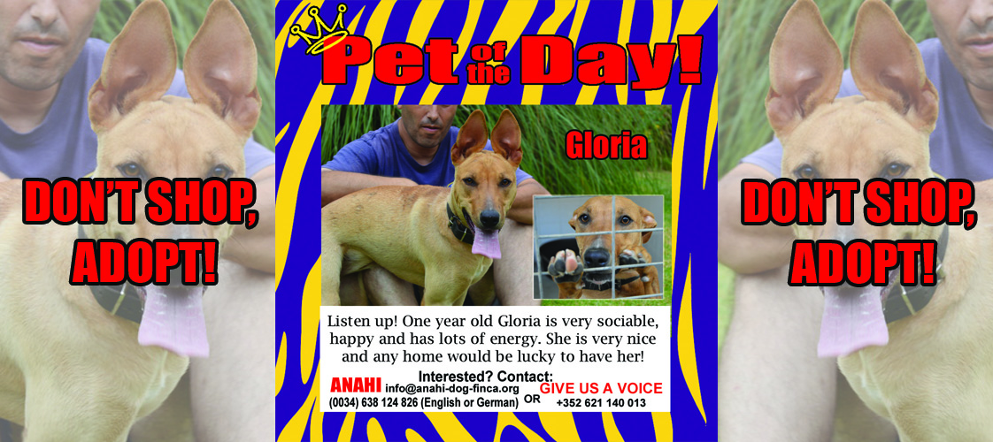 07-10-15 Pet of the Day for website