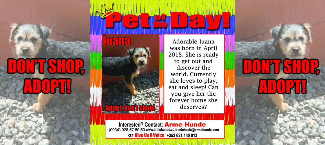07-20-15 Pet of the Day for website