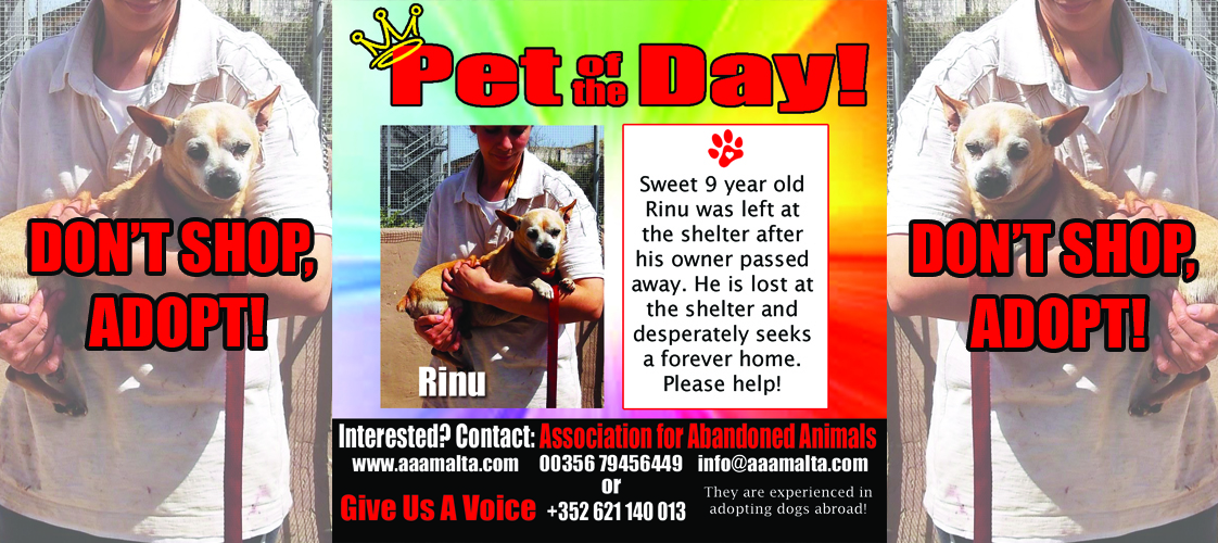 07-28-15 Pet of the Day for website
