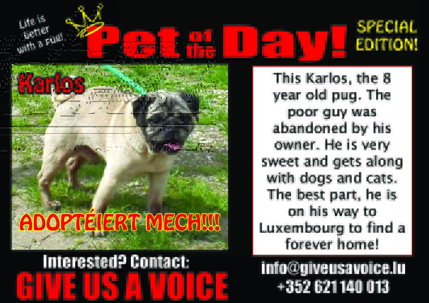 08-11-15 Pet of the Day copy