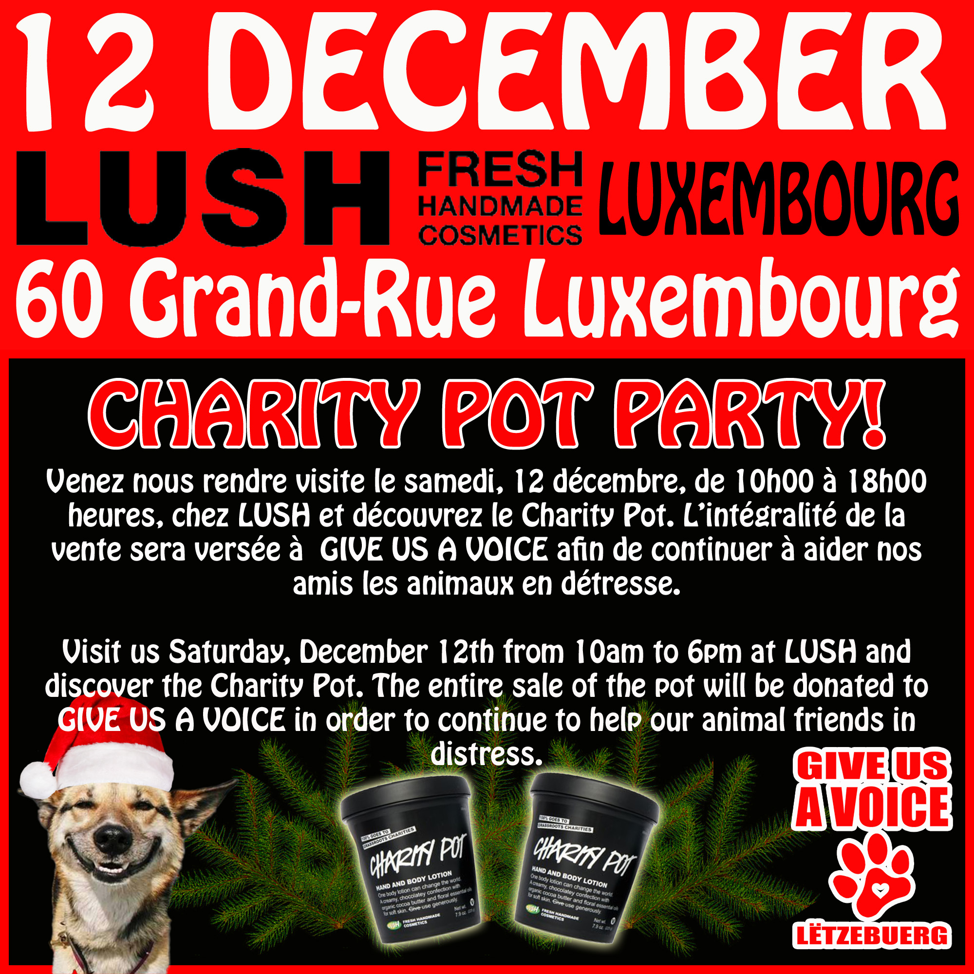 12-12-15 Lush Charity Pot copy