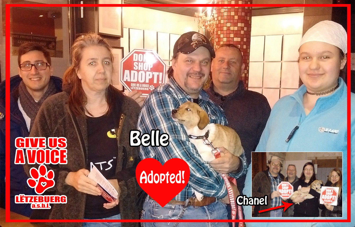 Belle Adopted! copy