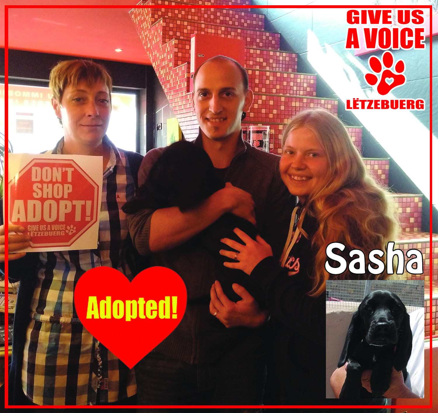 Sasha Adopted copy