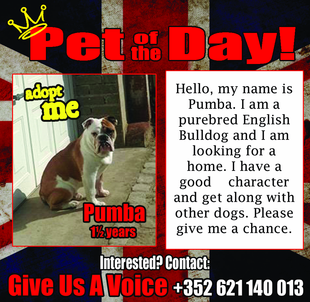 01-30-16 Pet of the Day