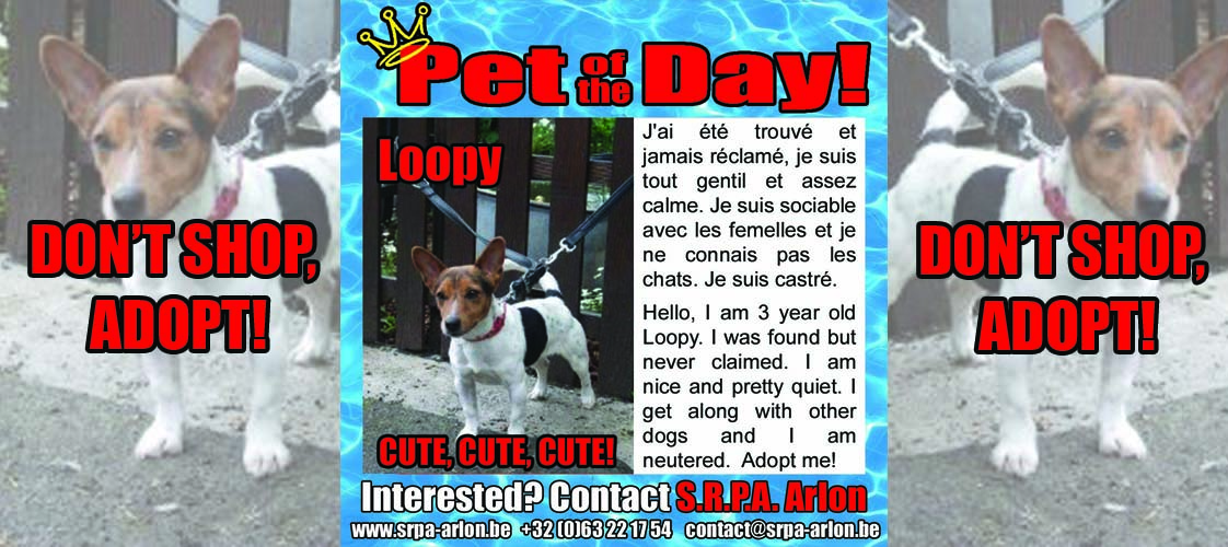 05-14-15 Pet of the Day for website