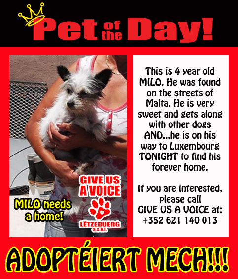 08-12-15 Pet of the Day