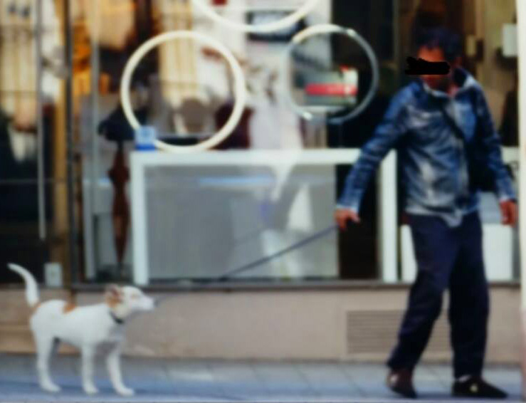 12042257_1615590115382514_1571140217_n