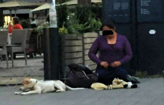 12047209_1615590122049180_1190308299_n