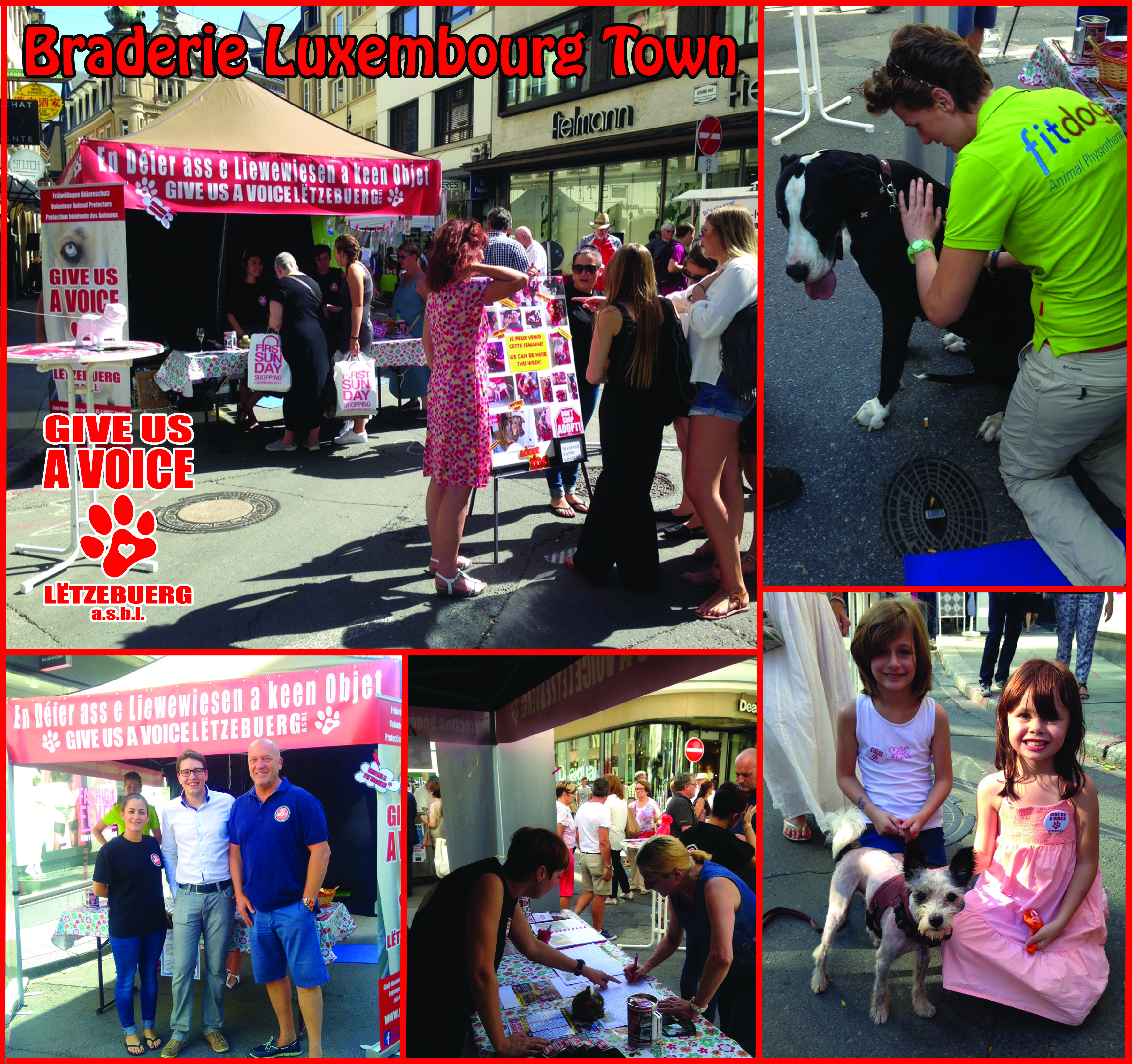 Thank you for Braderie copy