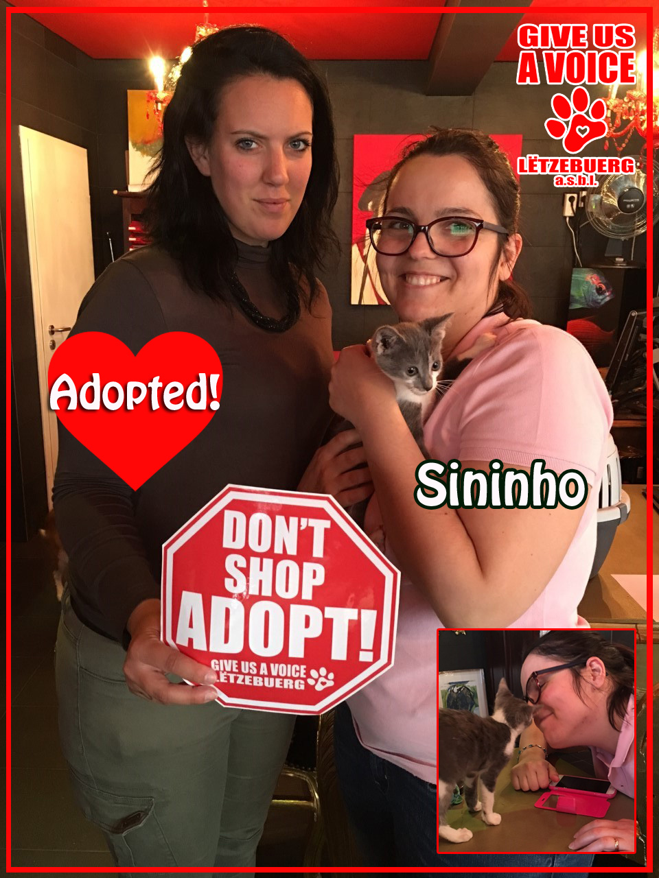 Sininho adopted! copy